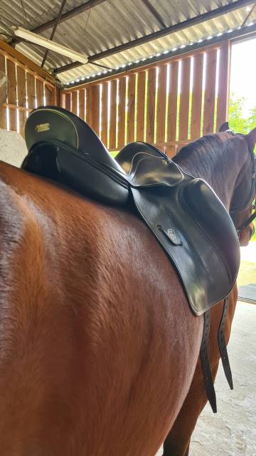 Sella da dressage Zaldi  17.5" - 2013