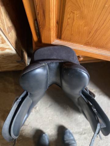 Sella mista Thorowgood   17" - 2017