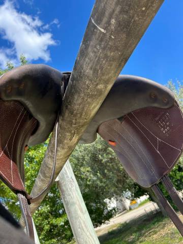 Sella da salto ostacoli Forestier  17.5" - 2022