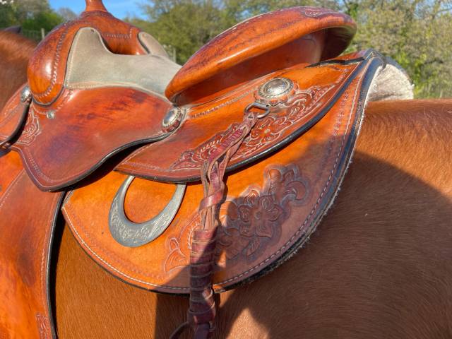 Sella western   15.5" - 2015