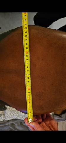 Sella da salto ostacoli Antarès  18" - 2005