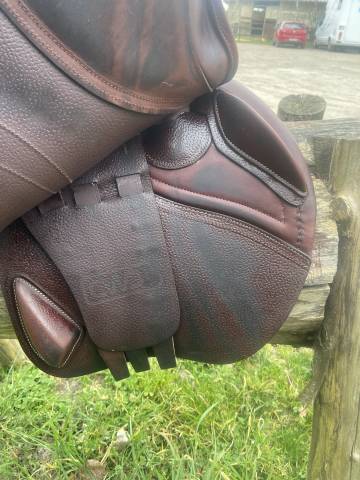 Sella da salto ostacoli CWD  17.5" - 2024