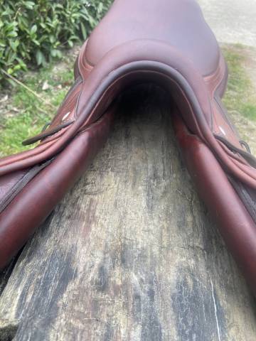 Sella da salto ostacoli CWD  17.5" - 2024