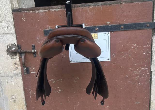 Sella da salto ostacoli Renaissance  18" - 2020