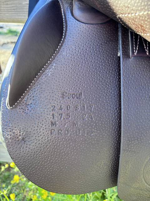 Sella da salto ostacoli Forestier  17.5" - 2024