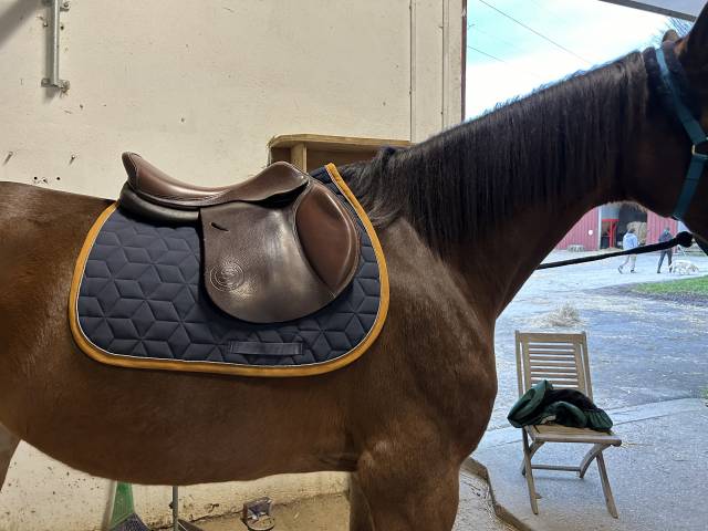 Sella da salto ostacoli Forestier  18" - 2022