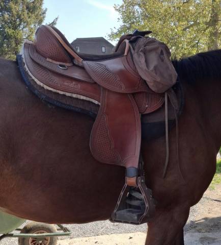 Sella sanza arcione Barefoot   17.5" - 2018