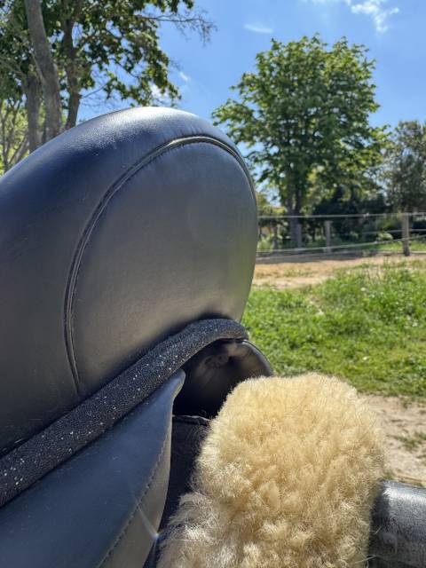 Sella da dressage Devoucoux  17.5" - 2022