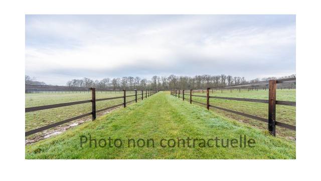 Bella dimora equestre In vendita Ain