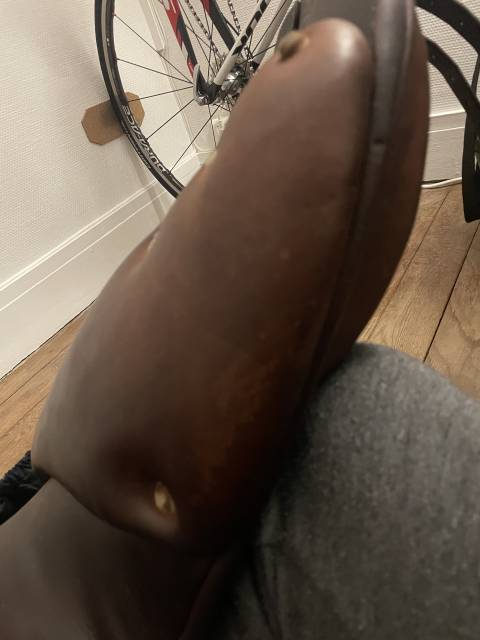 Sella da cross Antarès  17" - 2018