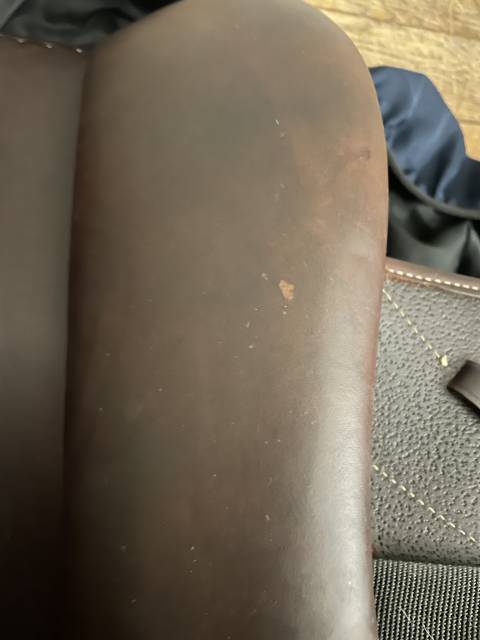 Sella da cross Antarès  17" - 2018