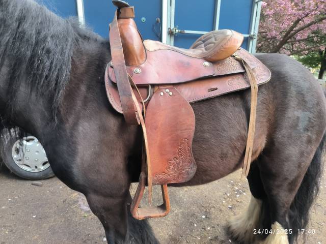 Sella western Barnes  16" - 2015