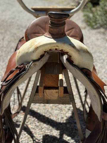 Sella western   16" - 2010
