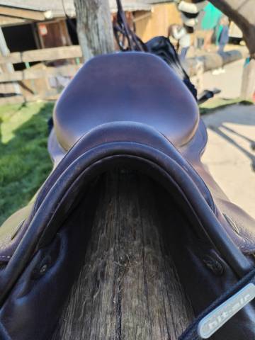 Sella da salto ostacoli Prestige Italia  17.5" - 2016