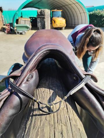 Sella da salto ostacoli Prestige Italia  17.5" - 2016