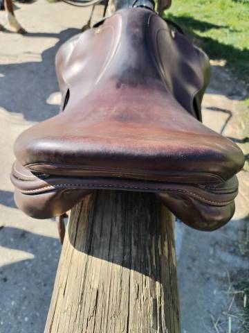 Sella da salto ostacoli Prestige Italia  17.5" - 2016