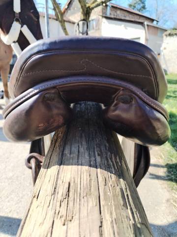 Sella da salto ostacoli Prestige Italia  17.5" - 2016