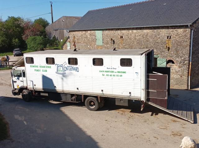 Camion per Cavalli Renault  1988 Occasione