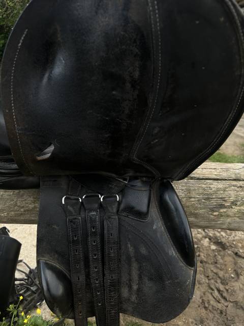 Sella mista Fouganza  16.5" - 2017