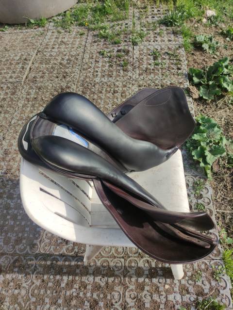 Sella da salto ostacoli Prestige Italia X Michel robert cps 18" - 2023