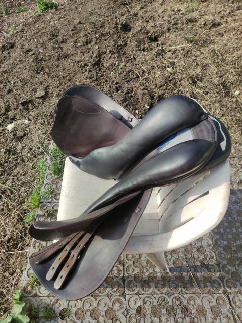 Sella da salto ostacoli Prestige Italia X Michel robert cps 18" - 2023