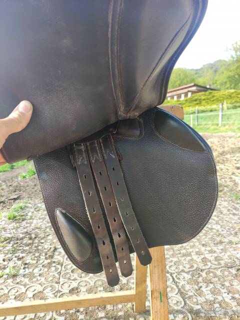 Sella da salto ostacoli Prestige Italia X Michel robert cps 18" - 2023