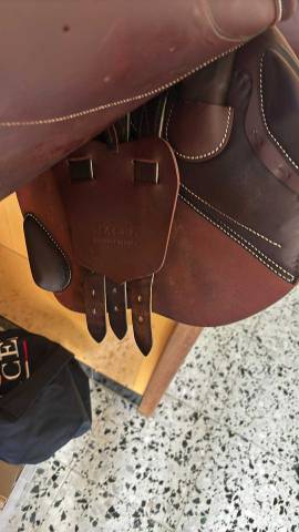 Sella da salto ostacoli Macel  17.5" - 2023