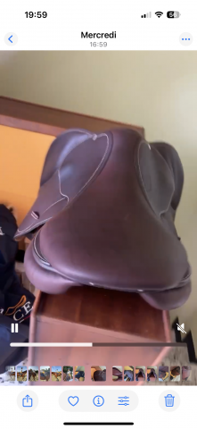 Sella da salto ostacoli Macel  17.5" - 2023