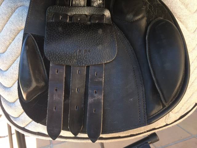 Sella mista Privilège Equitation chamonix 16.5" - 2024