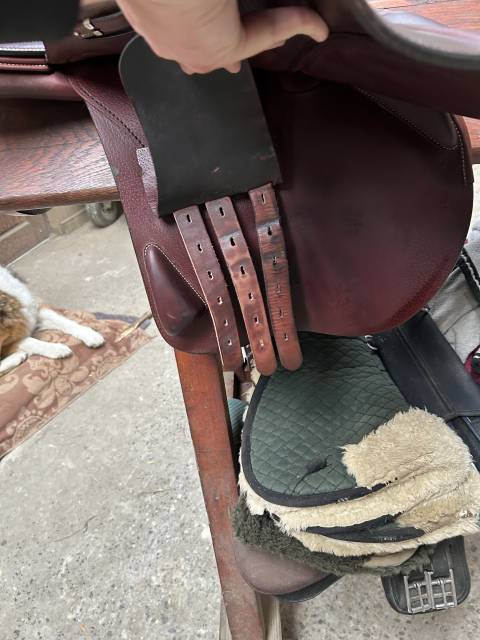 Sella da salto ostacoli Equipe  18" - 2019