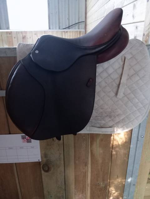 Sella da salto ostacoli GBS  16.5" - 2021