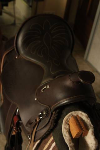 Sella western   16" - 2016