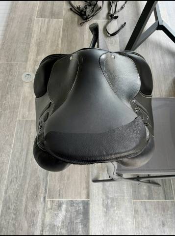 Sella da salto ostacoli GBS  17" - 2024