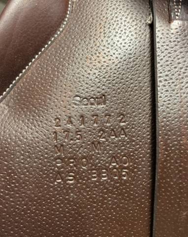 Sella da salto ostacoli Forestier  17.5" - 2024