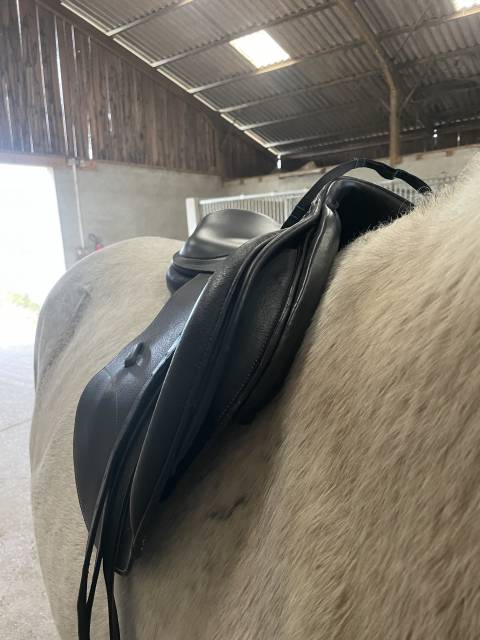 Sella mista Time Rider New time  17.5" - 2025