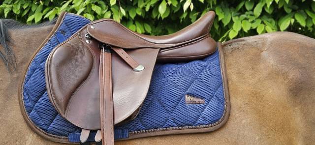 Sella mista Bates  17.5" - 2012
