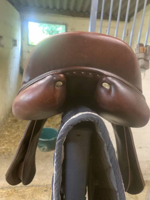 Sella da salto ostacoli Antar&egrave;s  17.5" - 2020