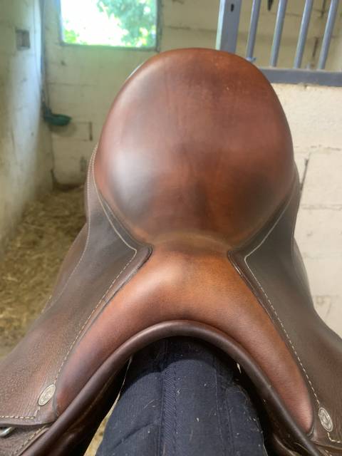 Sella da salto ostacoli Antar&egrave;s  17.5" - 2020