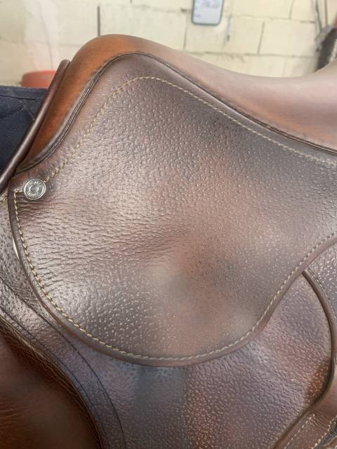 Sella da salto ostacoli Antar&egrave;s  17.5" - 2020