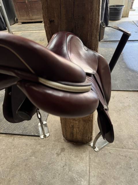 Sella da salto ostacoli CWD  17.5" - 2019