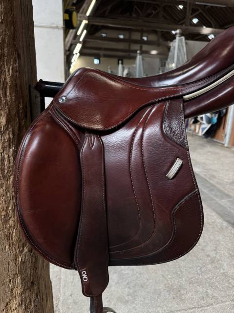 Sella da salto ostacoli CWD  17.5" - 2019