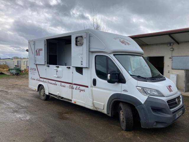 Van per Cavalli Fiat  CAMION MTM 2016 Occasione