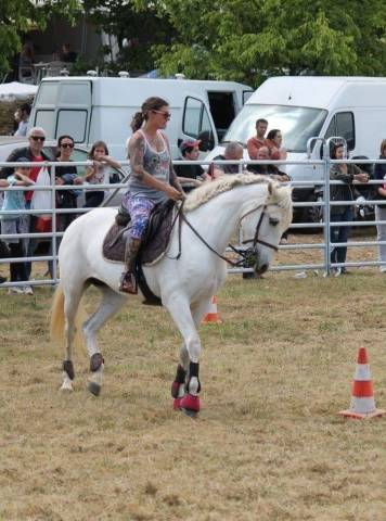 Cavalla CDE Caballo Deporte Espanol In vendita 2005 Grigio