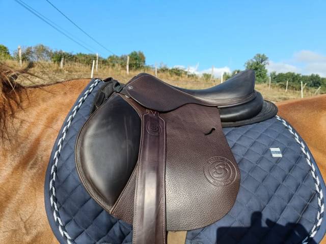 Sella mista Forestier  17" - 2020