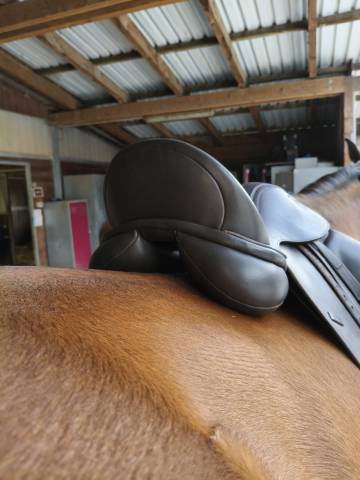 Sella da dressage  Claridge House 17.5" - 2024
