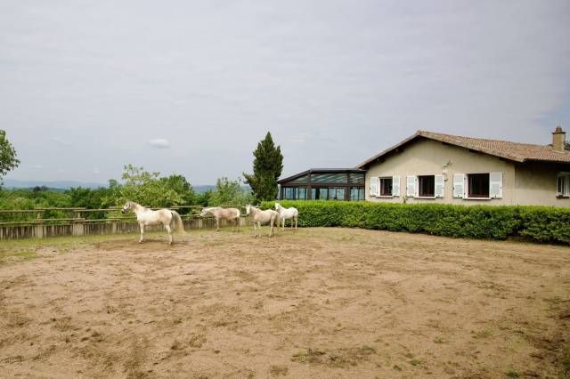 Proprietà equestre In vendita Rhône