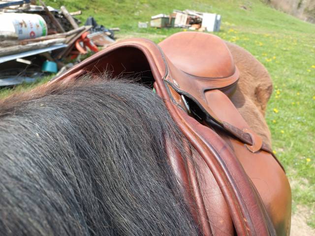 Sella da salto ostacoli  Amerigo vega 17" - 2012