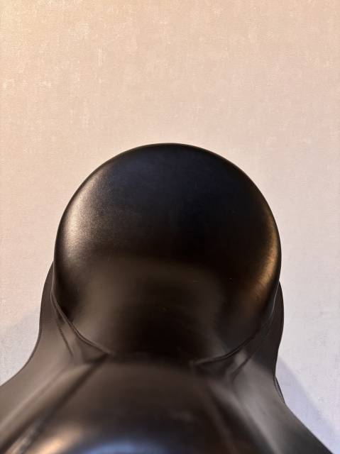 Sella da dressage Prestige Italia  17.5" - 2021