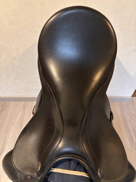 Sella da dressage Prestige Italia  17.5" - 2021