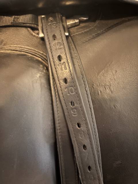 Sella da dressage Prestige Italia  17.5" - 2021